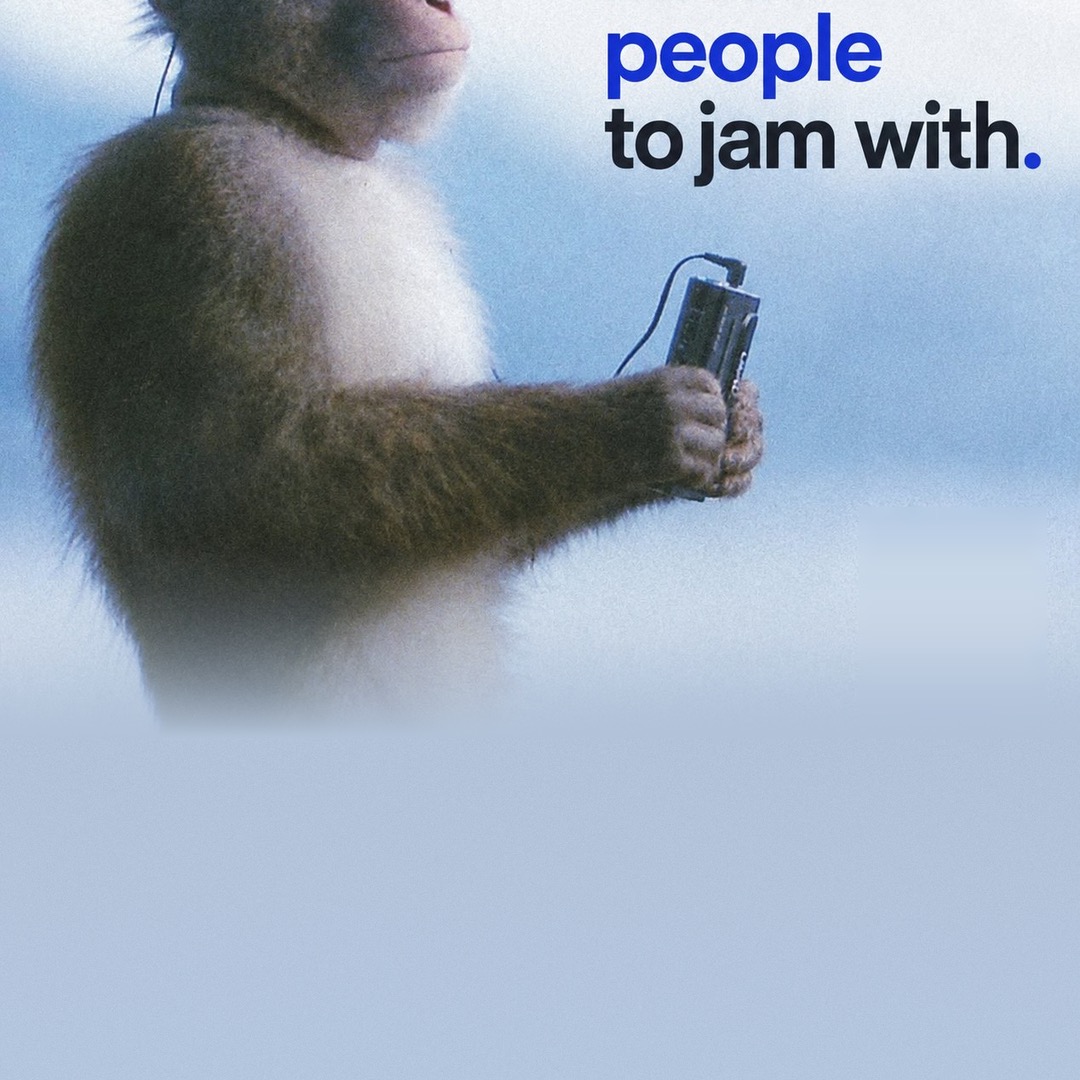 T profile photo